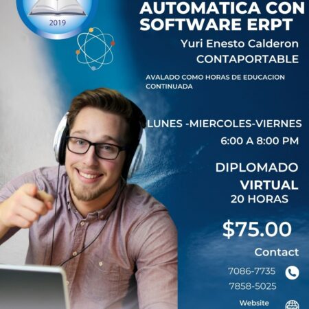 Contabilidad Automática con ERP´s