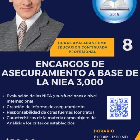 Encargos de aseguramiento NIEA 3000