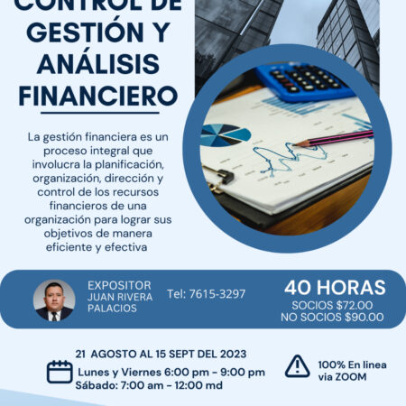 Control de gestión y análisis financiero