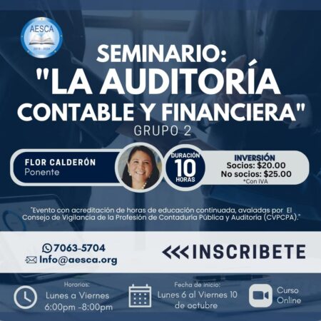Seminario: La Auditoría Contable y Financiera (Grupo 2)