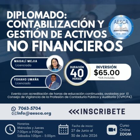 Diplomado: Contabilización y Gestión de Activos No Financieros