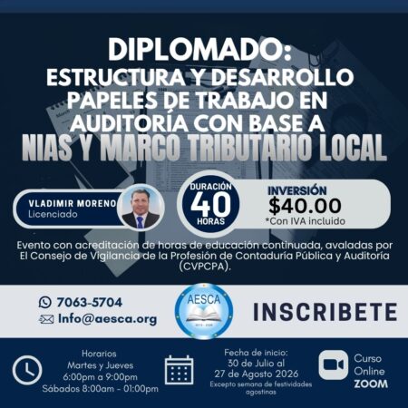 ESTRUCTURA Y DESARROLLO DE PAPELES DE TRABAJO EN  AUDITORIA, CON BASE A NIAS Y MARCO TRIBUTARIO LOCAL