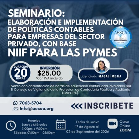 Elaboración e Implementación de Políticas Contables para Empresas del Sector Privado con base en NIIF para las PYMES (Versión 2025)